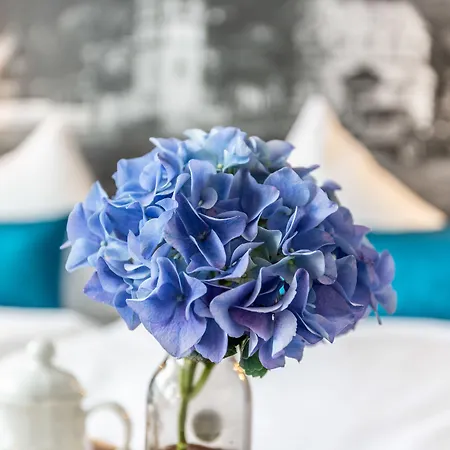 Sachsenhof - - Frühstück Buchbar - Nur 700m Vom Gesundheitsbad Actinon